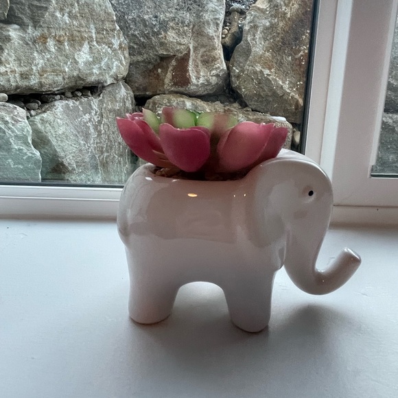 Artificial faux succulent plant - Picture 2 of 6